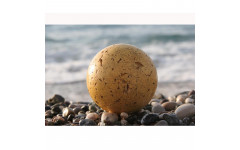 Постер AFG Profi 05088 70×50см Постер AFG Profi 05088 70×50см